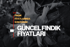 fındık fiyatları