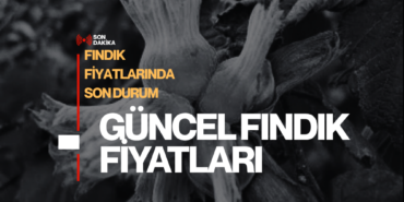 fındık fiyatları