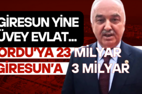 Giresun ili Genel Bütçe ve Ödenek Durumu