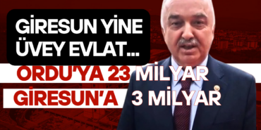 Giresun ili Genel Bütçe ve Ödenek Durumu