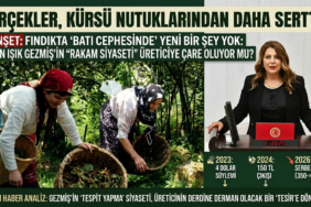 ELVAN IŞIK FEZMİŞ FINDIK
