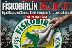 FİSKOBİRLİK, havlu attı