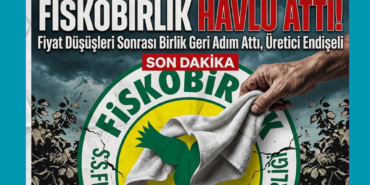 FİSKOBİRLİK, havlu attı