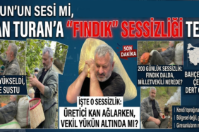 hasan turan