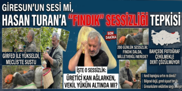 hasan turan