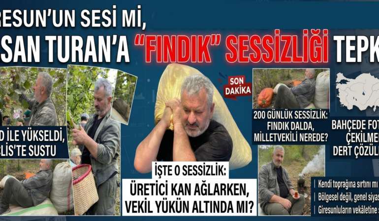 hasan turan