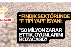 şahinler fındık