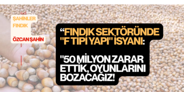 şahinler fındık