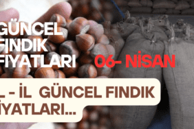 fındık fiyatları