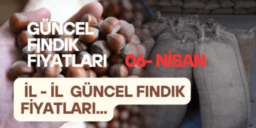 fındık fiyatları