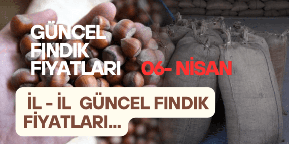 06 NİSAN 2026 PAZARTESİ GÜNCEL FINDIK FİYATLARI