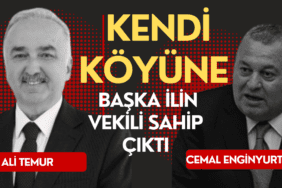 ali temur
