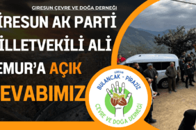 Giresun Ak Parti Milletvekili Ali Temur’a açık cevabımız