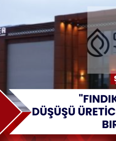 Gemini şunu dedi: Şahinler Fındık Yönetim Kurulu Başkanı Özcan Şahin’in fındık piyasasına ve fiyat dalgalanmalarına dair çarpıcı açıklamalarını, profesyonel bir haber formatına dönüştürdüm:  Şahinler Fındık’tan Sert Çıkış