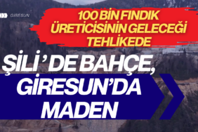 Giresun’da Fındığa "Maden" Darbesi