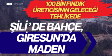 Giresun’da Fındığa "Maden" Darbesi
