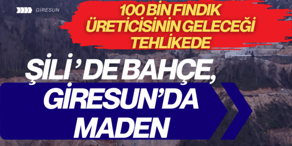 Giresun’da Fındığa “Maden” Darbesi: Yurt Dışında Yatırım, İçeride Yıkım!