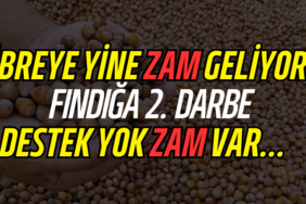 gübre zam