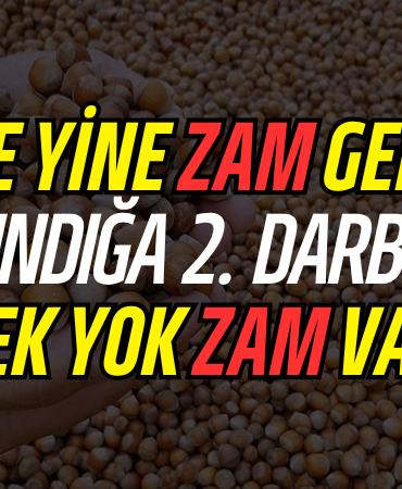 gübre zam