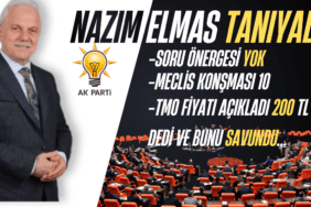 nazım elmas