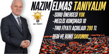 nazım elmas