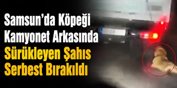 Samsun’da Köpeği Kamyonet Arkasında Sürükleme Olayında Şüpheli Adli Kontrol Şartıyla Serbest Bırakıldı