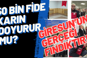 50 Bin Fide Karın Doyurur mu Giresun’un Gerçeği Fındıktır!