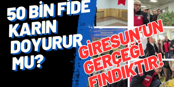 50 Bin Fide Karın Doyurur mu? Giresun’un Gerçeği Fındıktır!