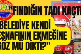 BULANCAK BULNUT