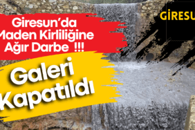 Giresun’da Maden Kirliliğine Ağır Darbe