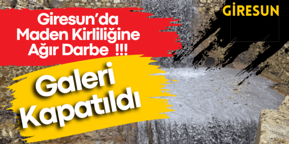 Giresun’da Maden Kirliliğine Ağır Darbe: Galeri Kapatıldı, 2.5 Milyon TL Ceza Kesildi