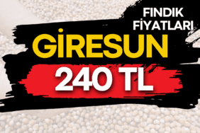 4 MAYIS 2026  PAZARTESİ GÜNCEL FINDIK FİYATLARI