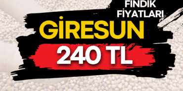 4 MAYIS 2026  PAZARTESİ GÜNCEL FINDIK FİYATLARI