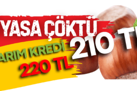 FINDIK FİYATLARI