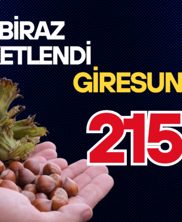 FINDIK FİYATLARI (1)