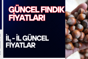 FINDIK FİYATLARI (3)