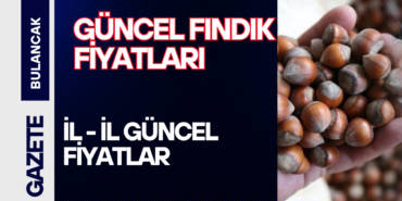 FINDIK FİYATLARI (3)