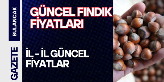 10 HAZİRAN 2026 GÜNCEL FINDIK FİYATLARI