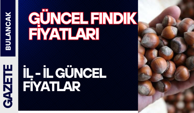 FINDIK FİYATLARI (3)