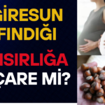 Giresun Fındığı ile İlgili Dikkat Çeken Araştırma