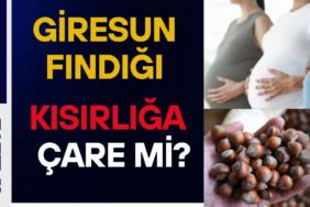 Giresun Fındığı ile İlgili Dikkat Çeken Araştırma