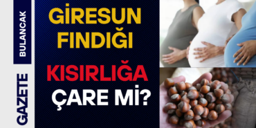 Giresun Fındığı ile İlgili Dikkat Çeken Araştırma