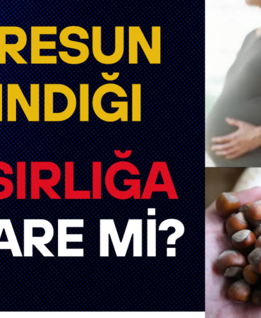 Giresun Fındığı ile İlgili Dikkat Çeken Araştırma