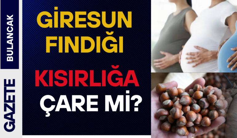 Giresun Fındığı ile İlgili Dikkat Çeken Araştırma