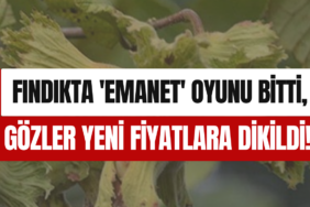 Kırmızı Sade Ekonomi Haber Manşeti Youtube Küçük Resmi