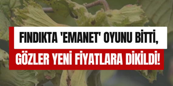 Fındıkta ‘Emanet’ Oyunu Bitti, Gözler Yeni Rekora Dikildi!