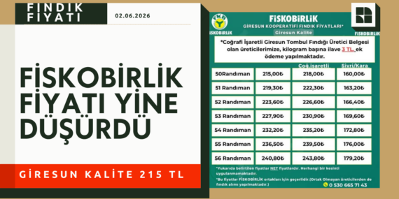 FİSKOBİRLİK’te Fındık Fiyatları Geriledi: Giresun Kalite Tombul Fındıkta Büyük Düşüş!