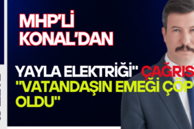 konal açıklama