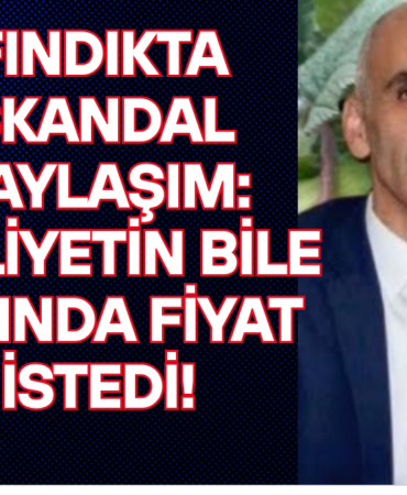 FINDIKTA SKANDAL PAYLAŞIM MALİYETİN BİLE ALTINDA FİYAT İSTEDİLER!