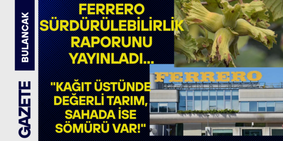 Ferrero Sürdürülebilirlik Raporunu yayınladı… Tepkiler peş peşe geldi : “Kağıt Üstünde Değerli Tarım, Sahada İse Sömürü Var!”